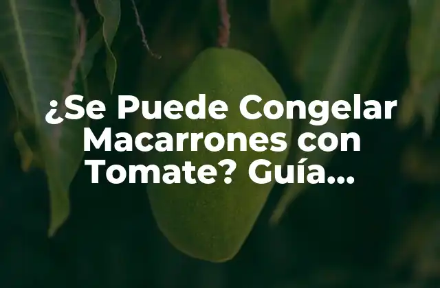 ¿se Puede Congelar Macarrones con Tomate? Guía Completa