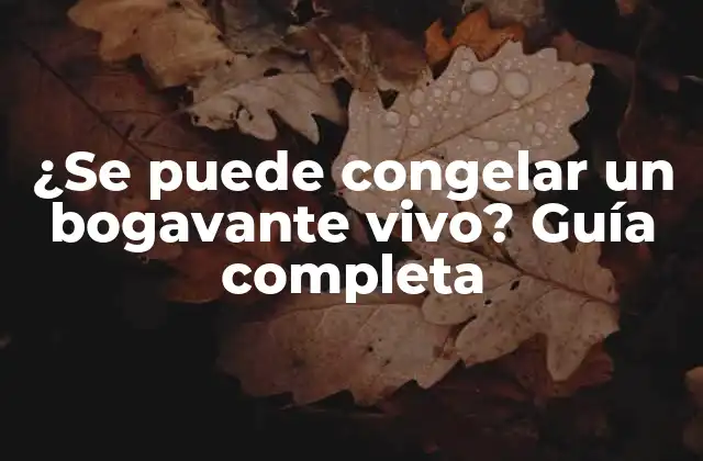 ¿se Puede Congelar un Bogavante Vivo? Guía Completa