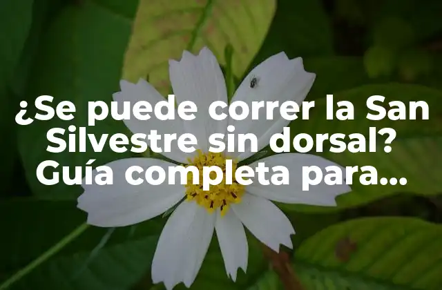 ¿se Puede Correr la San Silvestre sin Dorsal? Guía Completa para Runners
