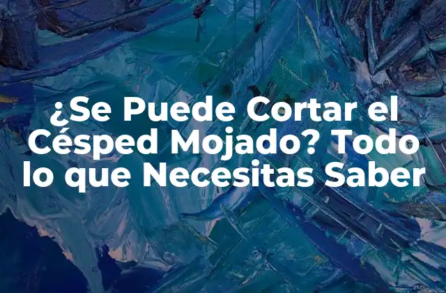 ¿Por qué no se recomienda cortar el césped mojado?