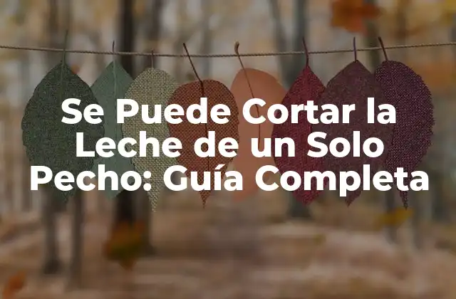 Se Puede Cortar la Leche de un Solo Pecho: Guía Completa