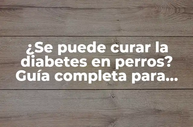 ¿se Puede Curar la Diabetes en Perros? Guía Completa para Dueños de Mascotas
