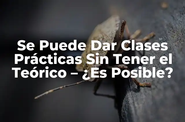 Se Puede Dar Clases Prácticas sin Tener el Teórico – ¿es Posible?