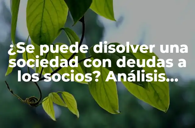 ¿se Puede Disolver una Sociedad con Deudas a los Socios? Análisis Detallado de las Opciones