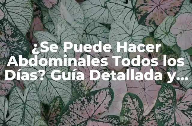 ¿se Puede Hacer Abdominales Todos los Días? Guía Detallada y Segura