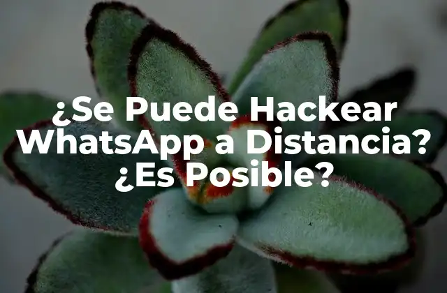 ¿se Puede Hackear Whatsapp a Distancia? ¿es Posible? 2 ¿Cómo Funciona la Seguridad de WhatsApp?