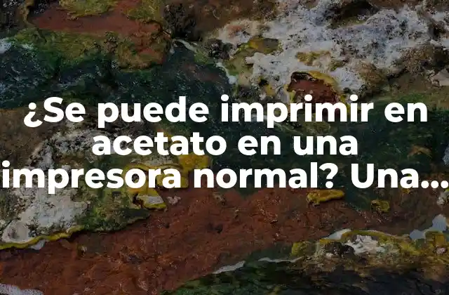 ¿se Puede Imprimir en Acetato en una Impresora Normal? una Guía Detallada