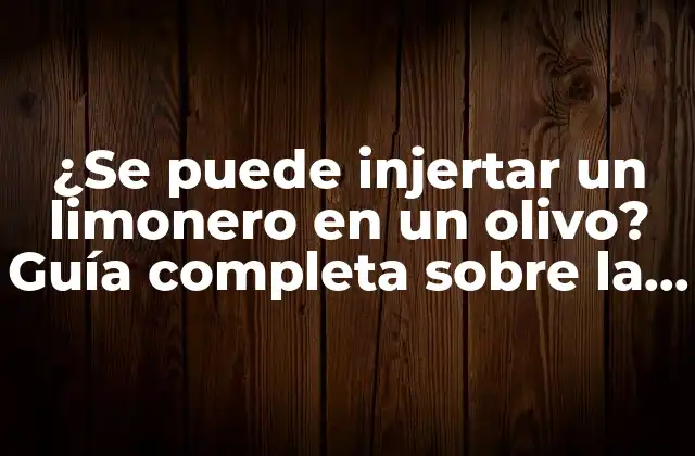 ¿se Puede Injertar un Limonero en un Olivo? Guía Completa sobre la Injertación de Limoneros en Olivos