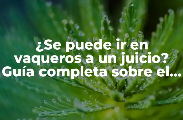 ¿se Puede Ir en Vaqueros a un Juicio? Guía Completa sobre el Código de Vestimenta en Tribunales