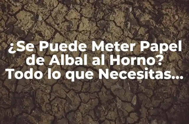 ¿se Puede Meter Papel de Albal Al Horno? Todo Lo que Necesitas Saber