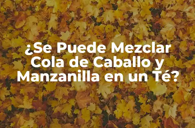 ¿se Puede Mezclar Cola de Caballo y Manzanilla en un Té? 2 Los Beneficios de la Cola de Caballo