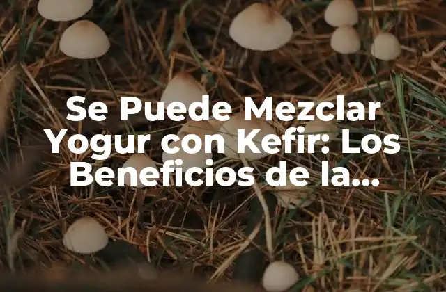 Se Puede Mezclar Yogur con Kefir: los Beneficios de la Combinación