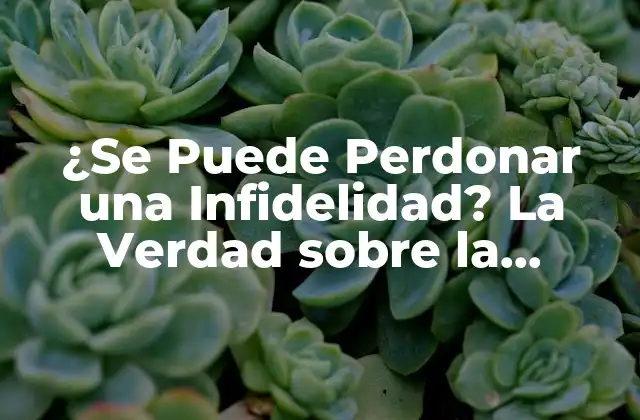 ¿se Puede Perdonar una Infidelidad? la Verdad sobre la Traición en las Relaciones