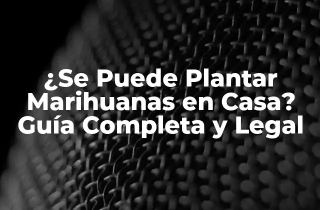 ¿se Puede Plantar Marihuanas en Casa? Guía Completa y Legal