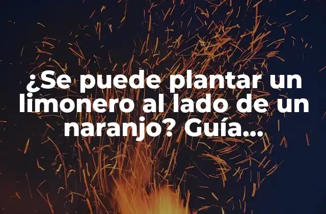 ¿se Puede Plantar un Limonero Al Lado de un Naranjo? Guía Completa