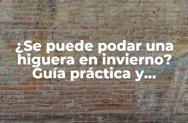 ¿se Puede Podar una Higuera en Invierno? Guía Práctica y Completa