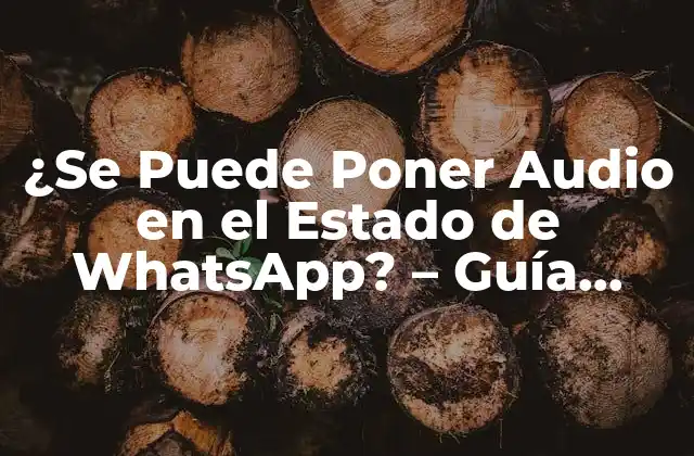 ¿se Puede Poner Audio en el Estado de Whatsapp? – Guía Completa