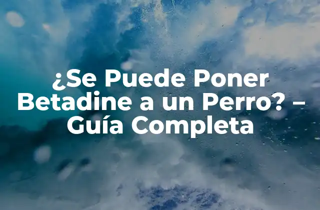 ¿se Puede Poner Betadine a un Perro? – Guía Completa