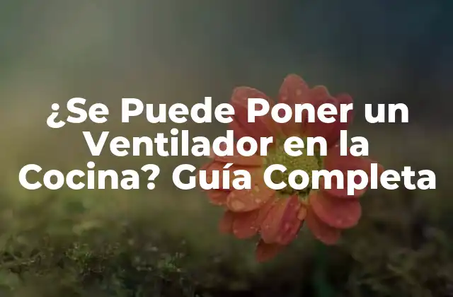 ¿se Puede Poner un Ventilador en la Cocina? Guía Completa