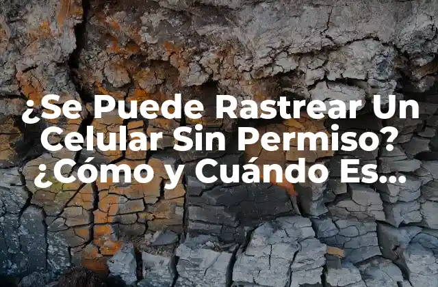 ¿Por Qué Rastrear Un Celular?