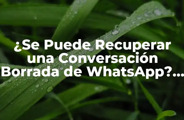 ¿Por qué se Pierden las Conversaciones de WhatsApp?