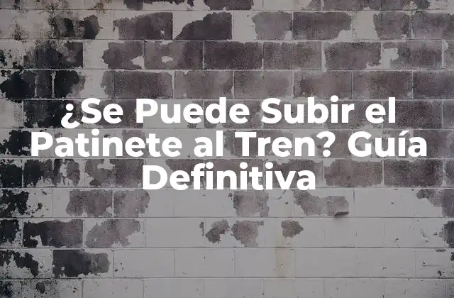 ¿se Puede Subir el Patinete Al Tren? Guía Definitiva 2 Normas Generales para Viajar con Patinete en Tren