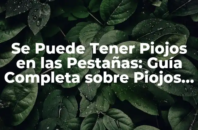 Se Puede Tener Piojos en las Pestañas: Guía Completa sobre Piojos en Pestañas