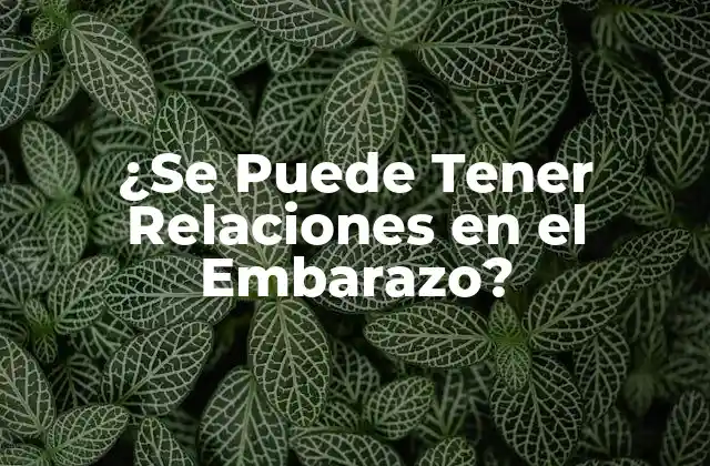 ¿se Puede Tener Relaciones en el Embarazo? 2 ¿Qué Cambios Físicos Afectan las Relaciones en el Embarazo?