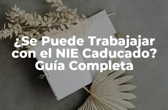 ¿se Puede Trabajajar con el Nie Caducado? Guía Completa