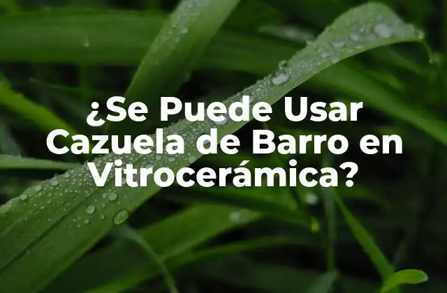 ¿se Puede Usar Cazuela de Barro en Vitrocerámica?