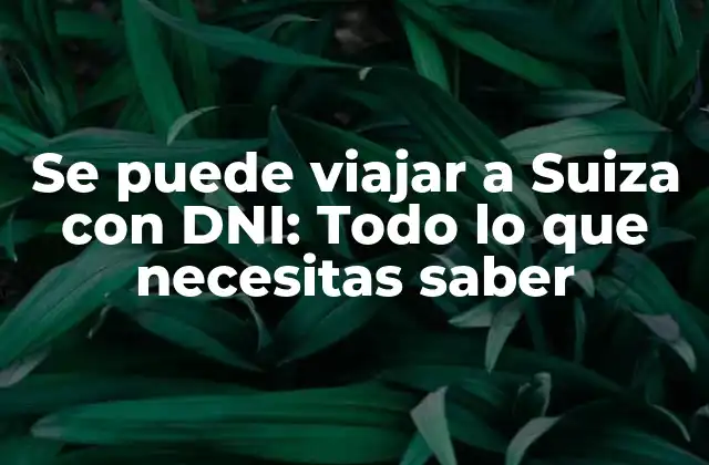 Se Puede Viajar a Suiza con Dni: Todo Lo que Necesitas Saber