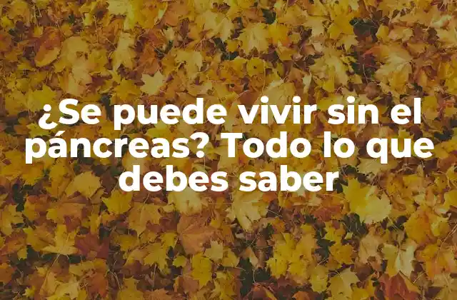 ¿se Puede Vivir sin el Páncreas? Todo Lo que Debes Saber