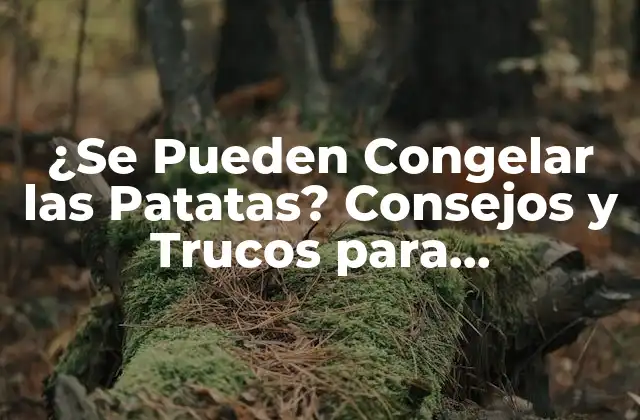 ¿se Pueden Congelar las Patatas? Consejos y Trucos para Conservarlas