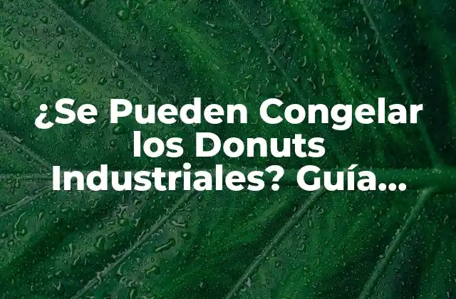 ¿se Pueden Congelar los Donuts Industriales? Guía Completa