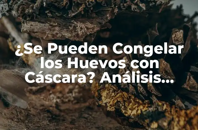 ¿se Pueden Congelar los Huevos con Cáscara? Análisis Detallado