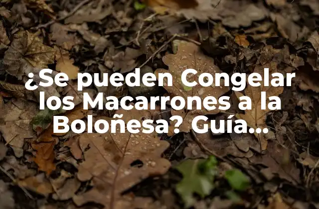 ¿se Pueden Congelar los Macarrones a la Boloñesa? Guía Completa para Congelar Pasta con Salsa