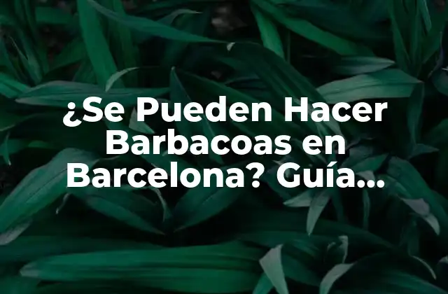 ¿se Pueden Hacer Barbacoas en Barcelona? Guía Completa