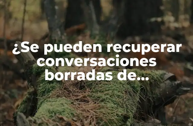 ¿se Pueden Recuperar Conversaciones Borradas de Whatsapp?