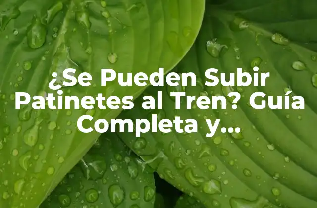 ¿se Pueden Subir Patinetes Al Tren? Guía Completa y Actualizada