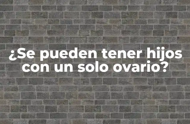 ¿se Pueden Tener Hijos con un Solo Ovario?