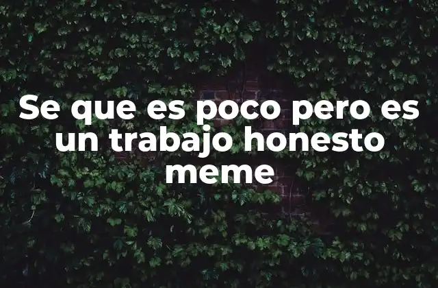 Se que es Poco pero es un Trabajo Honesto Meme
