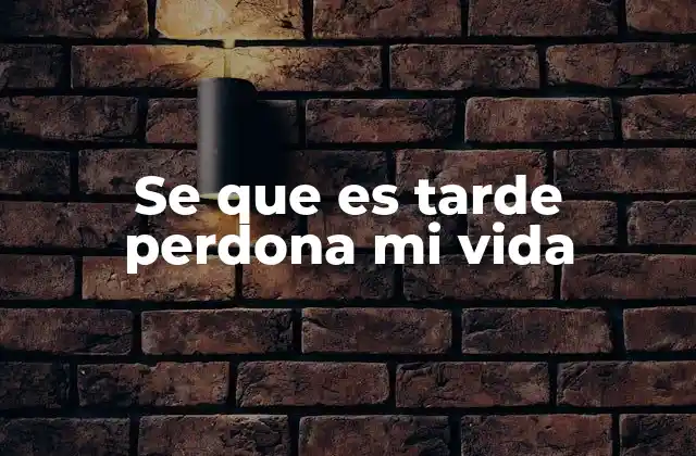 Se que es Tarde Perdona Mi Vida