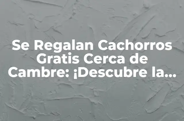 Se Regalan Cachorros Gratis Cerca de Cambre: ¡descubre la Verdad Detrás de Este Anuncio!