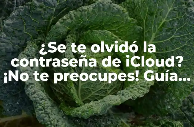 ¿se Te Olvidó la Contraseña de Icloud? ¡no Te Preocupes! Guía Completa para Recuperarla