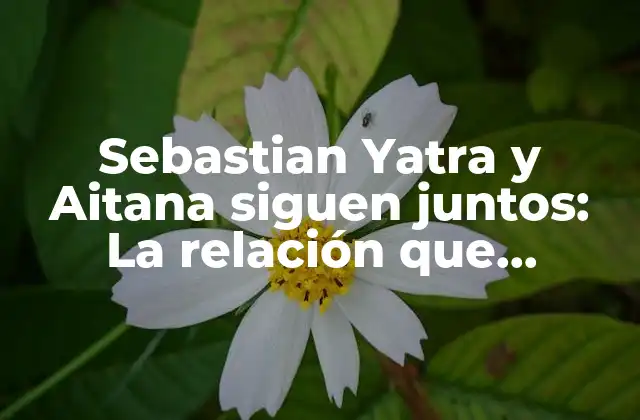 Sebastian Yatra y Aitana Siguen Juntos: la Relación que Conquistó los Corazones
