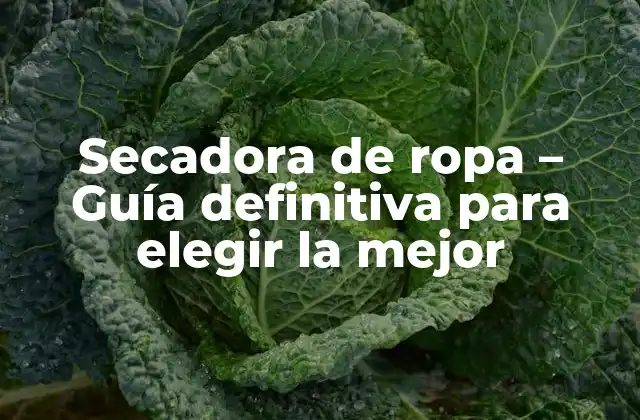 Secadora de Ropa – Guía Definitiva para Elegir la Mejor