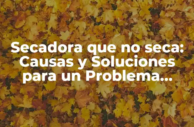 Secadora que No Seca: Causas y Soluciones para un Problema Común