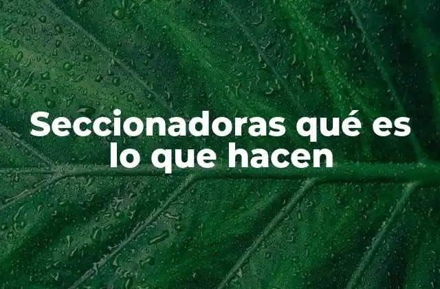 Seccionadoras Qué es Lo que Hacen