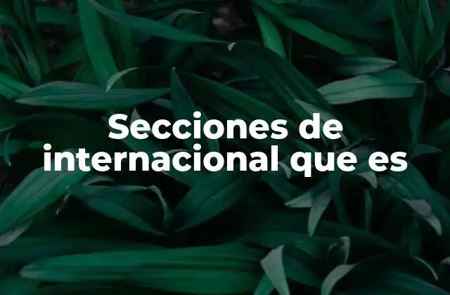 Secciones de Internacional que es 2 El rol de las secciones de internacional en el contexto informativo