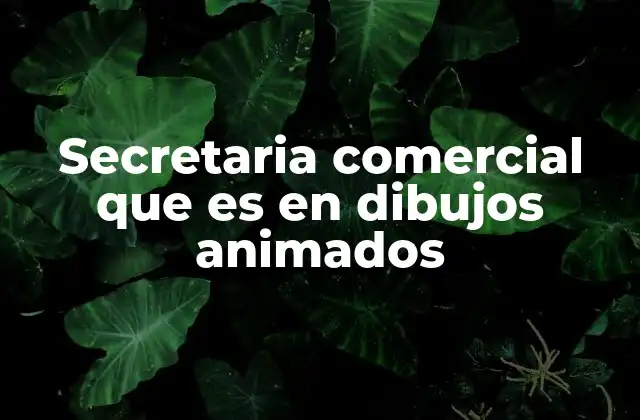 Secretaria Comercial que es en Dibujos Animados